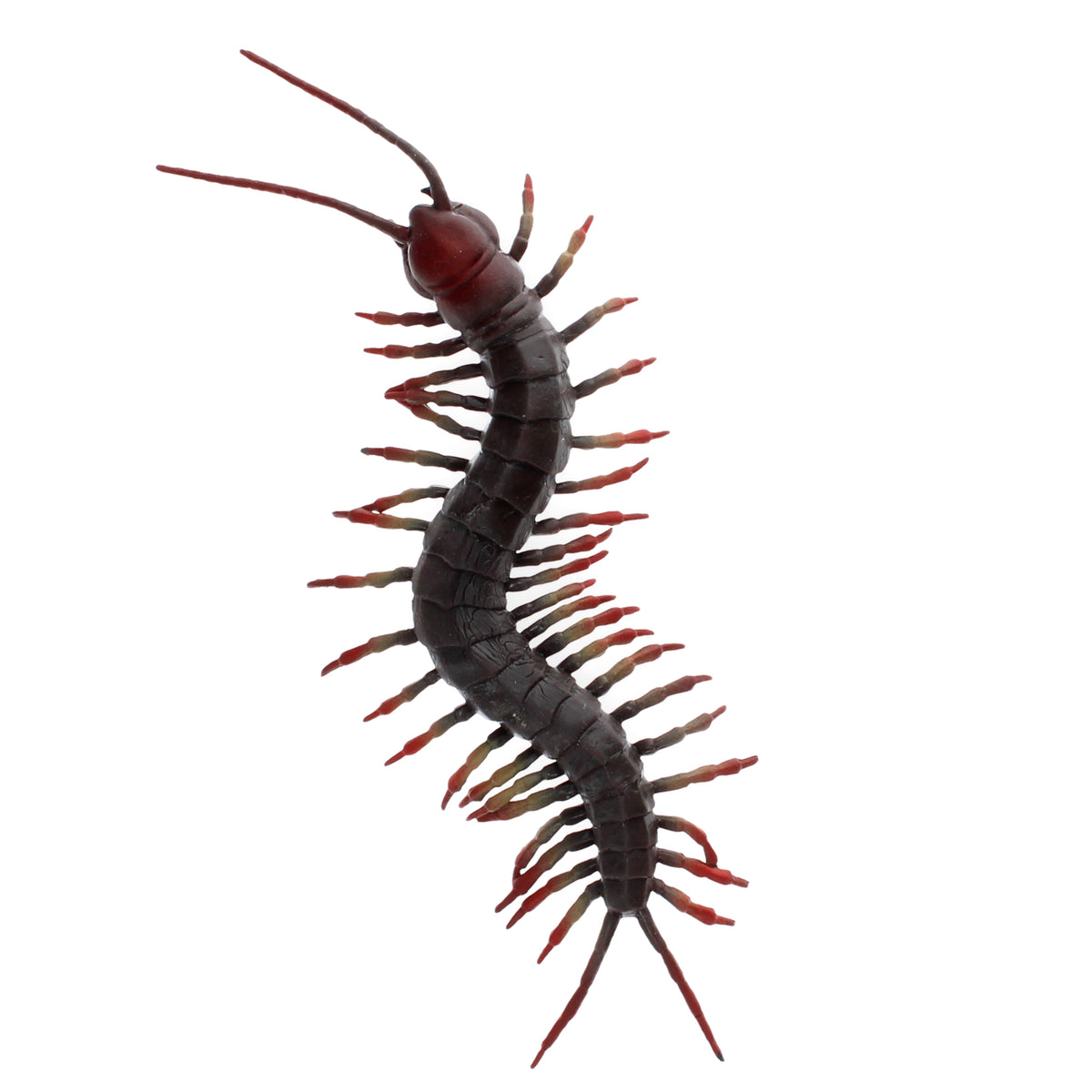 Realistic Centipede Toy