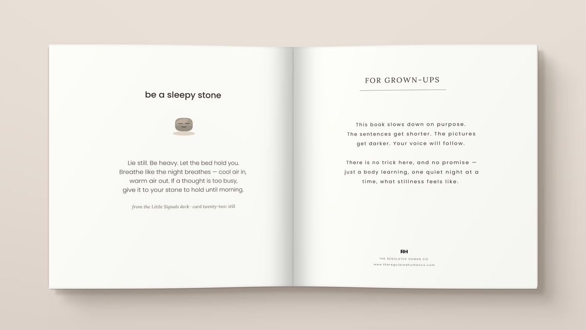 The Sleepy Stone: A Calming Bedtime Story for Busy Little Bodies