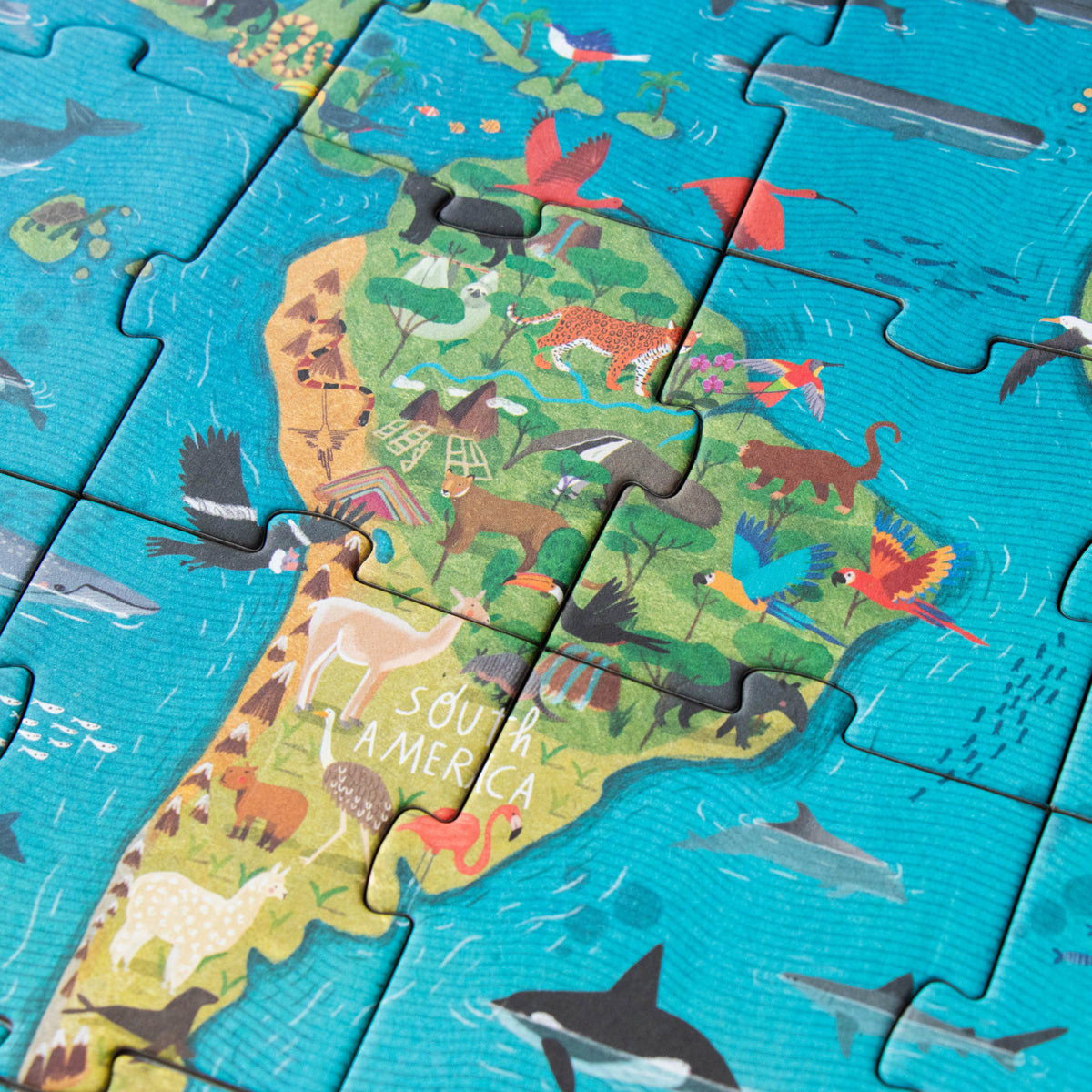 Close-up of the South America section of the puzzle, showcasing vibrant animals and birds.