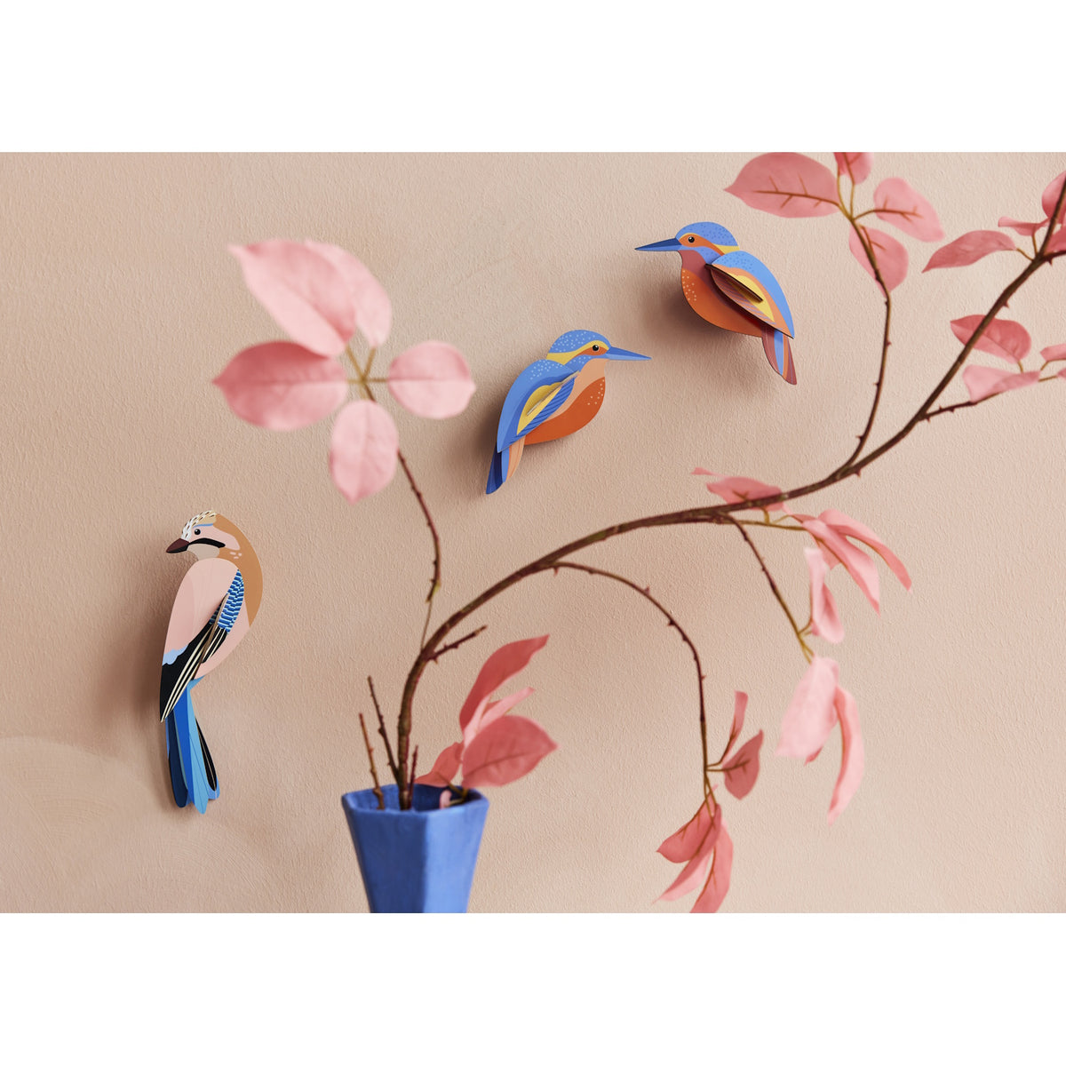 Studio Roof Garden Birds Kingfishers