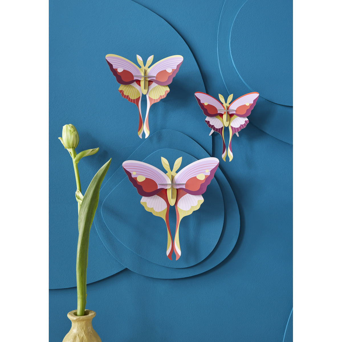 Three colorful paper butterflies in shades of pink, orange, and yellow are mounted on a textured blue wall. A single tulip in a yellow vase stands to the left.