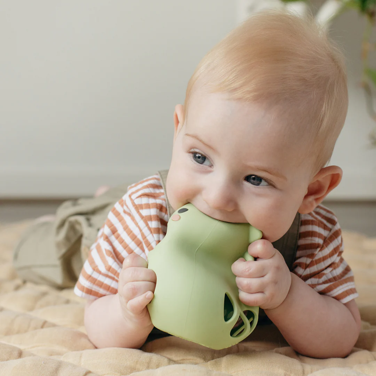 Tiger Tribe Silicone Rattle - Dino