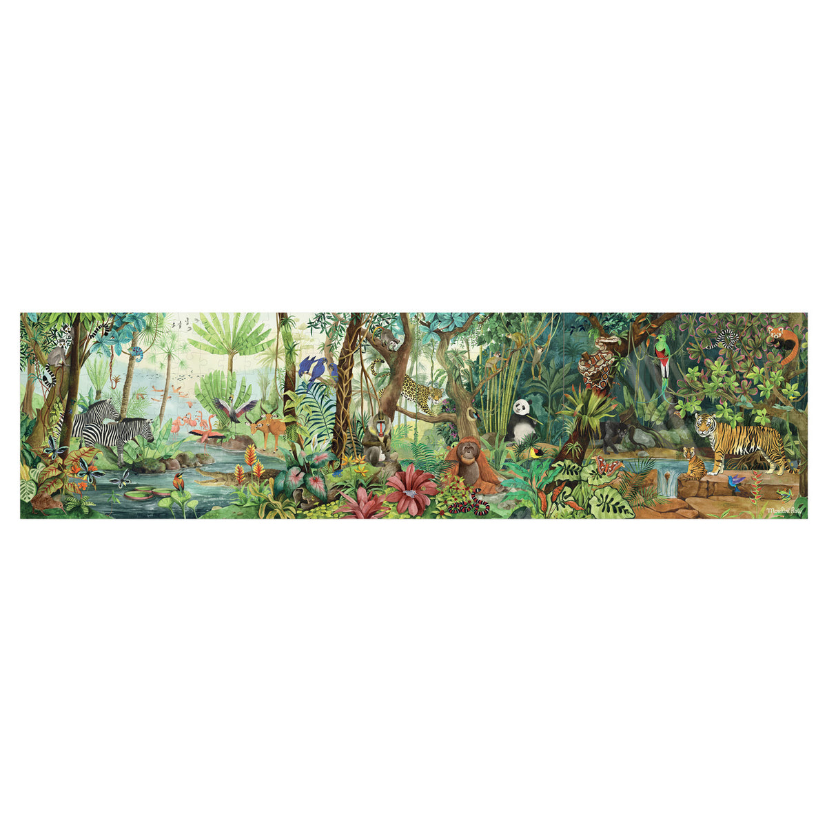 Panoramic illustration of rainforest animals including a tiger, panda, orangutan, and zebra in a lush jungle setting.