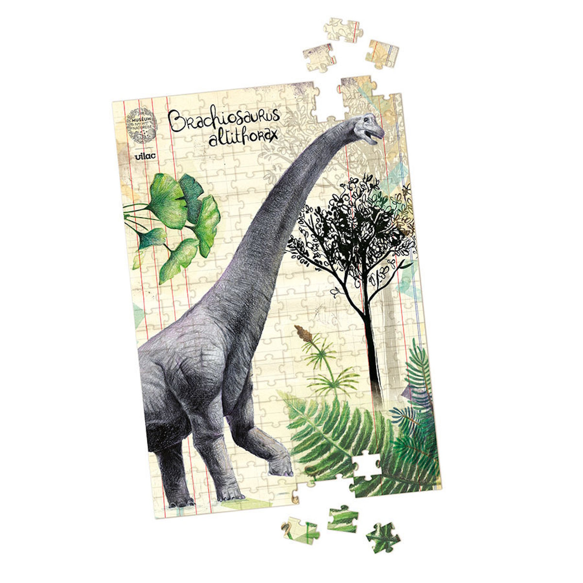 Vilac Brachiosaurus dinosaur jigsaw puzzle partially built, featuring retro scientific art style.