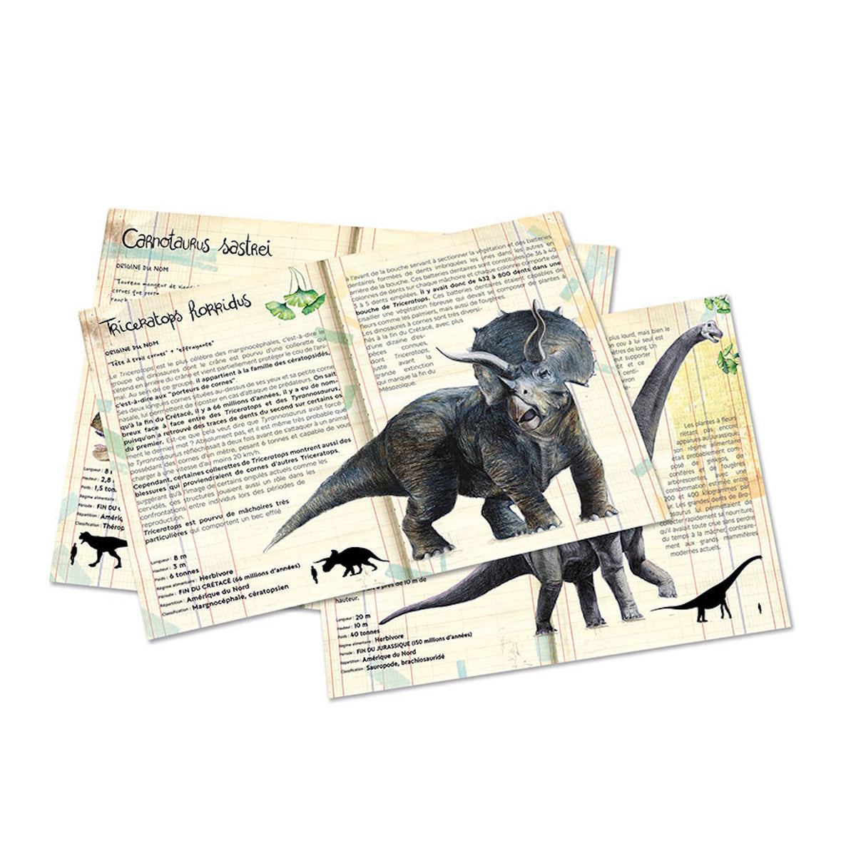 Vintage-style dinosaur information cards featuring Triceratops and Brachiosaurus drawings with French text.