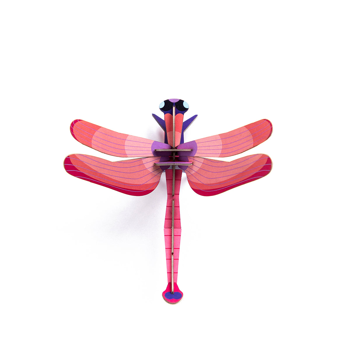Insects Small - Ruby Dragonfly