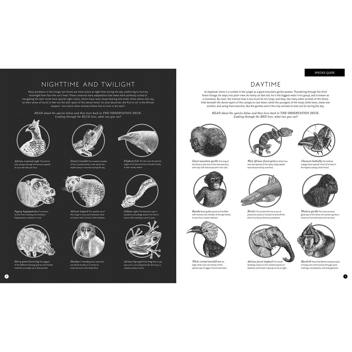 Illuminature Book Redwood Daylight, Nighttime and Twilight Page BOOK08868