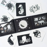 Baby Tummy Time Gallery Gift Set with Contrast Flash Cards