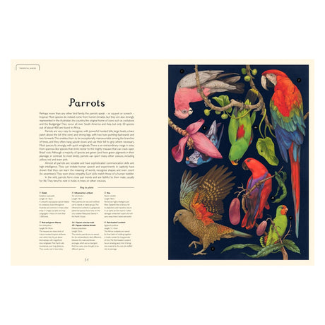 Book page about parrots, featuring descriptive text and a key to plate alongside an illustration of various parrot species.