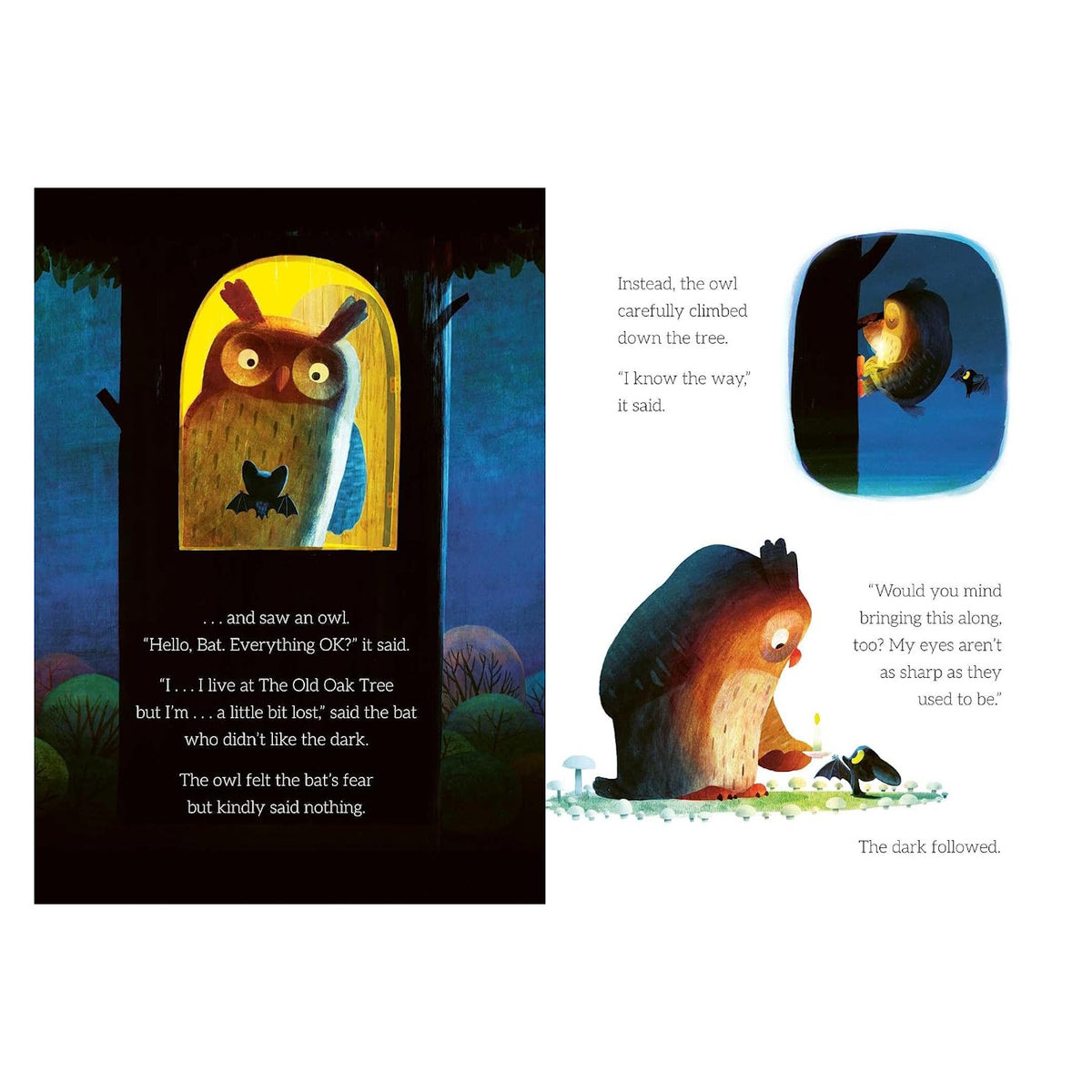 Illustrated children's book page showing an owl and a bat talking in the dark.