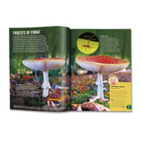 Two fly agaric mushrooms with red caps and white spots in a forest, with educational text about fungi and a zombie ant.