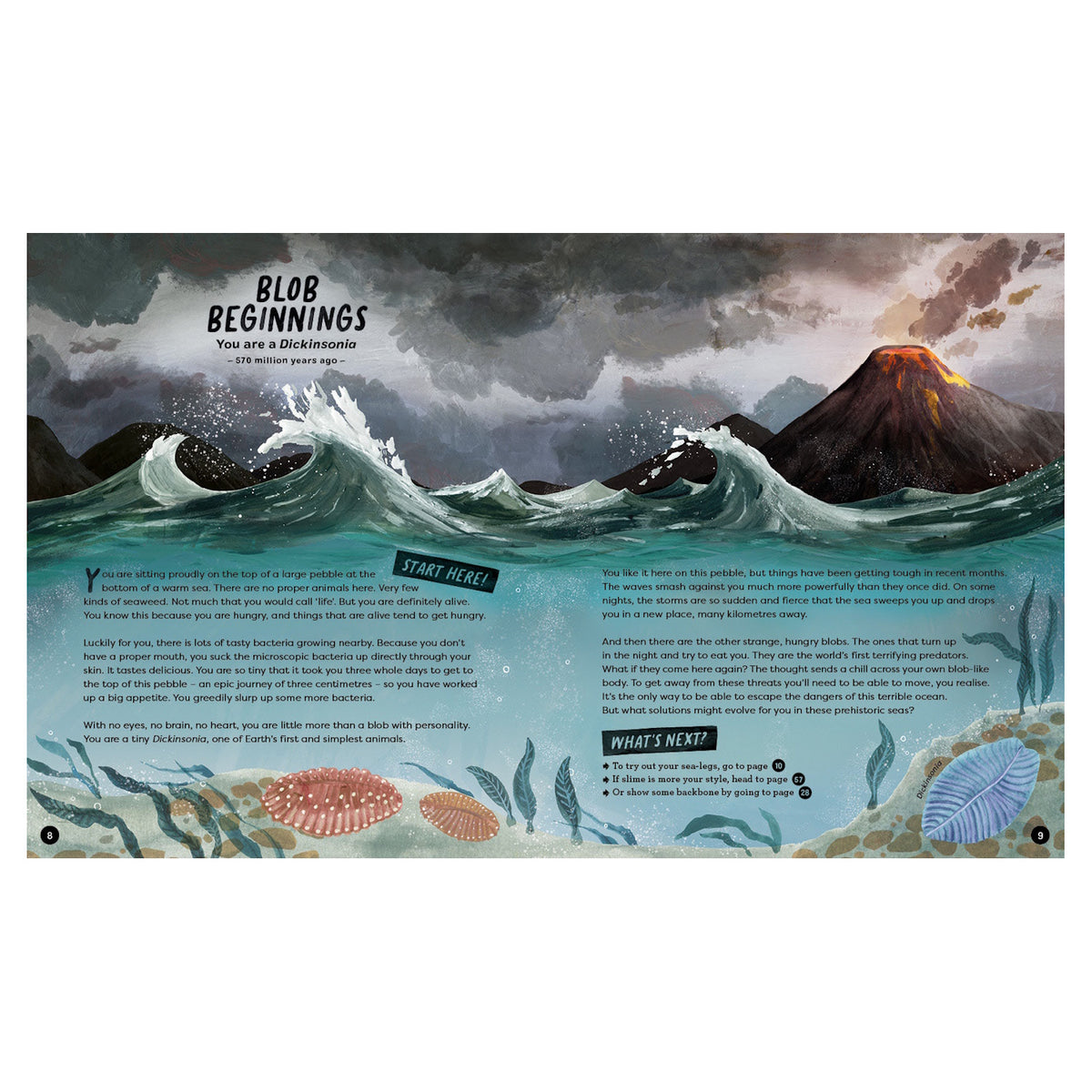 Illustration of a Dickinsonia in a prehistoric ocean from the book "Choose Your Own Evolution" with a volcano background.