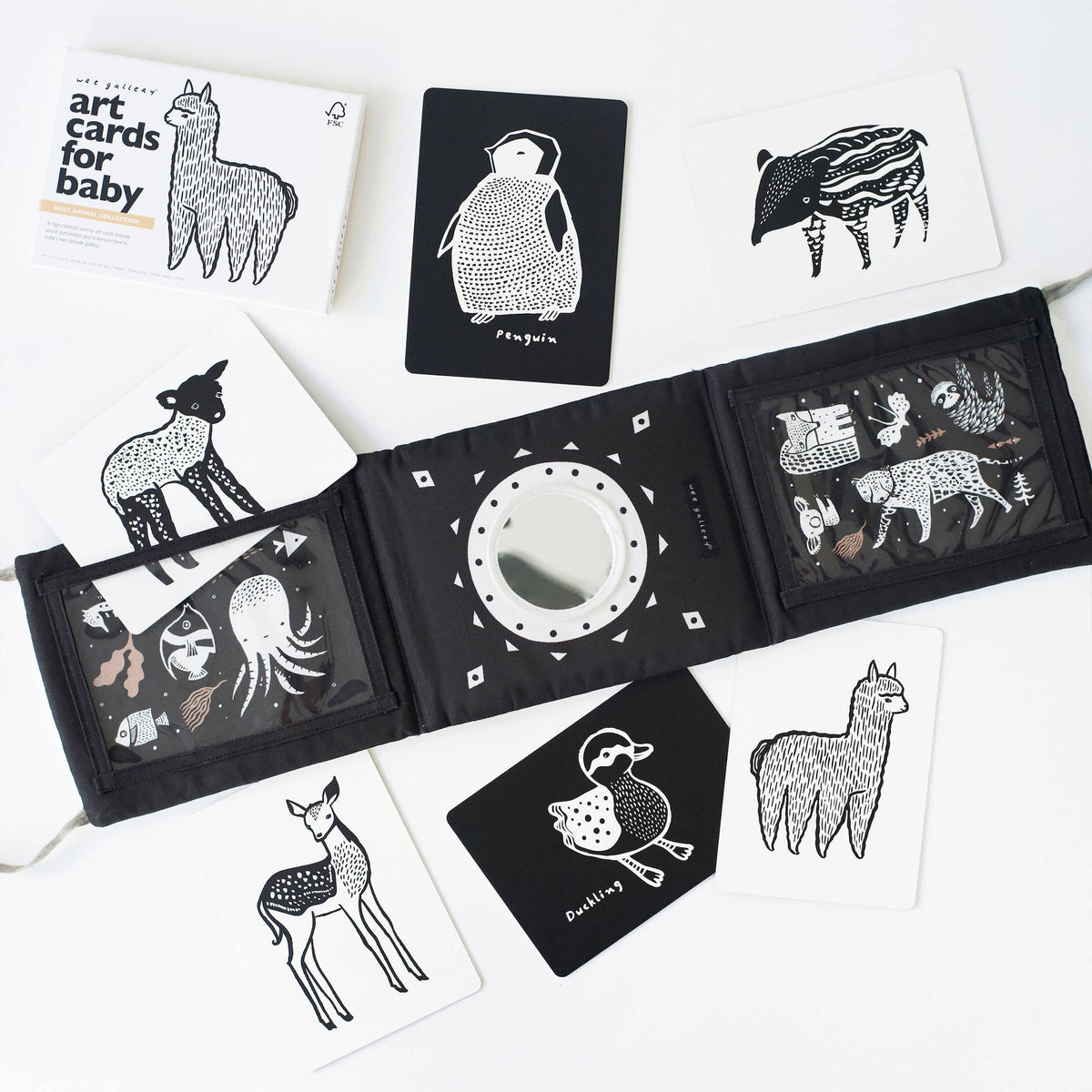 Baby Tummy Time Gallery Gift Set with Contrast Flash Cards