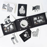 Baby Tummy Time Gallery Gift Set with Contrast Flash Cards
