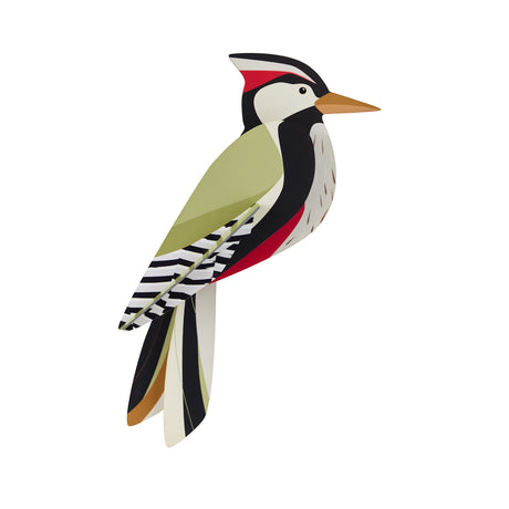 Illustration of a stylized woodpecker with geometric shapes. It features a bright red crest, black, white, and olive patterns, set against a white background.