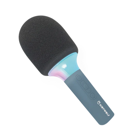A black foam-tipped microphone with a blue handle, featuring a logo and control buttons. It sits at an angle on a white background.