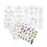 Open coloring book features detailed insect and plant illustrations. Below, vibrant stickers of birds, plants, and insects add color. Creative tone.