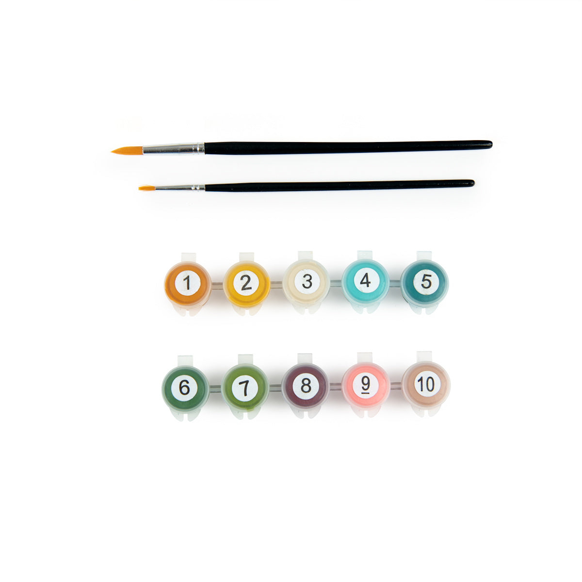 Les Rosalies paint by number kit with numbered acrylic paint pots and two paintbrushes on white background.