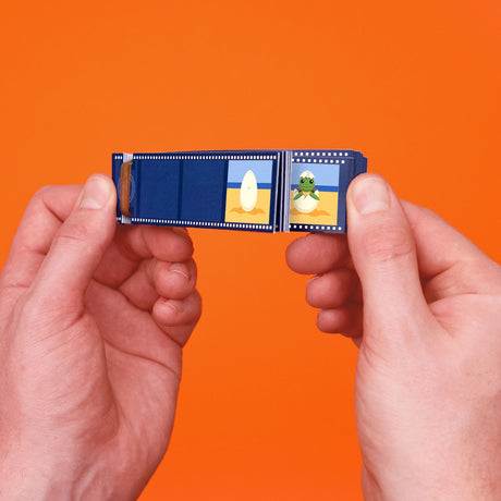 Hands flipping through a blue sea turtle animation flip book on a bright orange background.