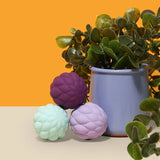 Three petal-textured magnetic fidget spheres next to a potted green plant against a yellow backdrop.