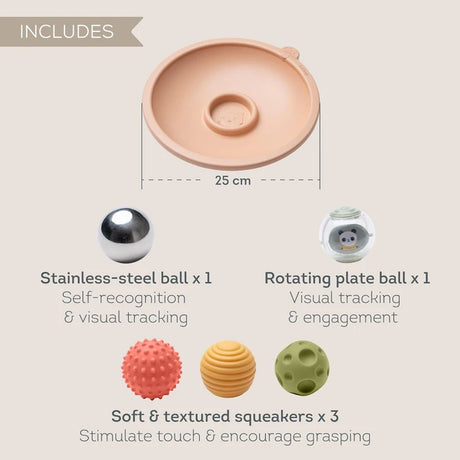 Infographic showing a 25cm play tray, a stainless-steel ball, a panda ball, and three textured squeakers.