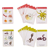 Moulin Roty animal card game featuring illustrated Cephalopod and Snake cards with species names in French and English.