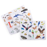 Illustrated sheets featuring a colorful array of animals, including birds, marine life, and insects, showcasing diversity and vibrancy in nature.