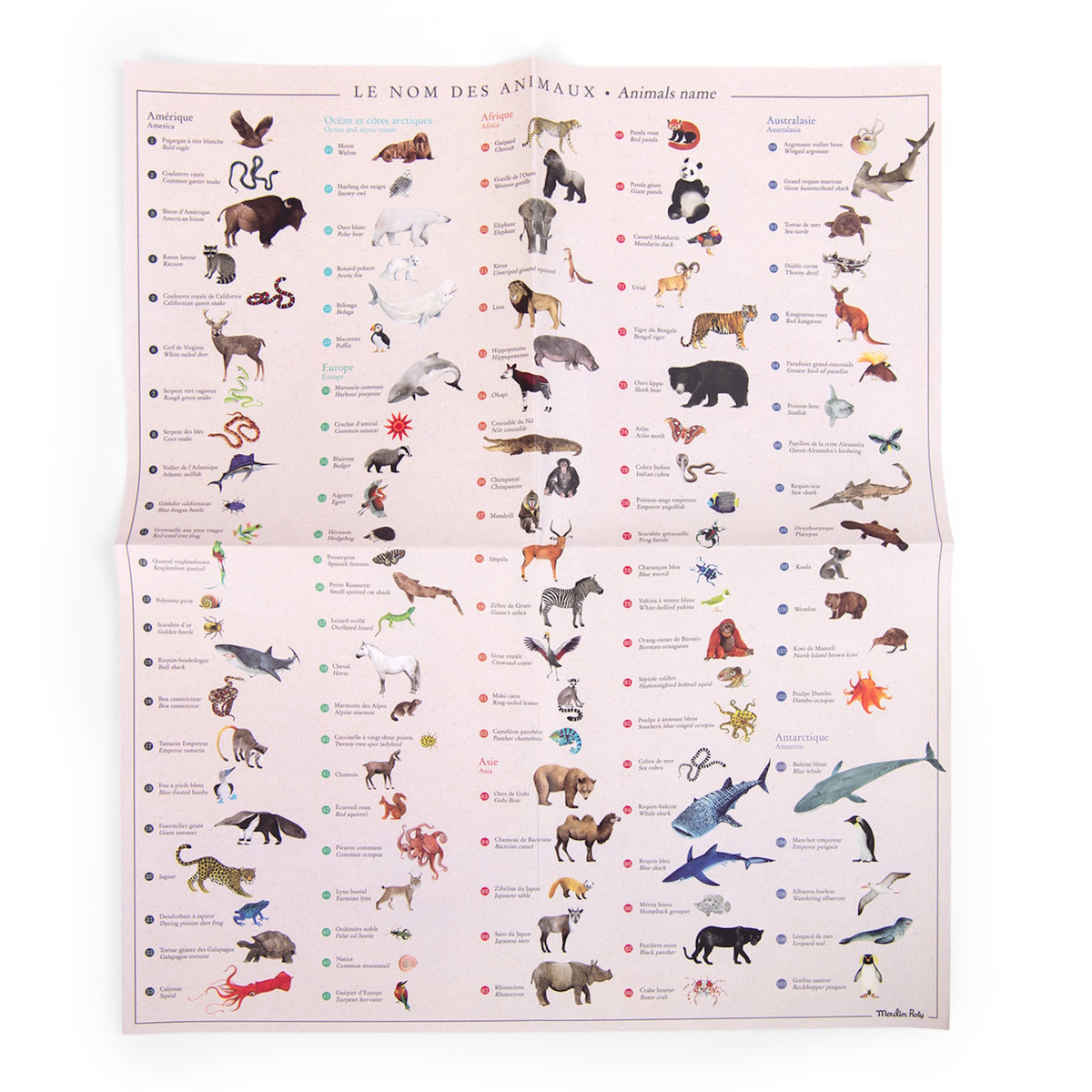 Educational poster titled Le Nom Des Animaux featuring a variety of illustrated animals categorized by continent.