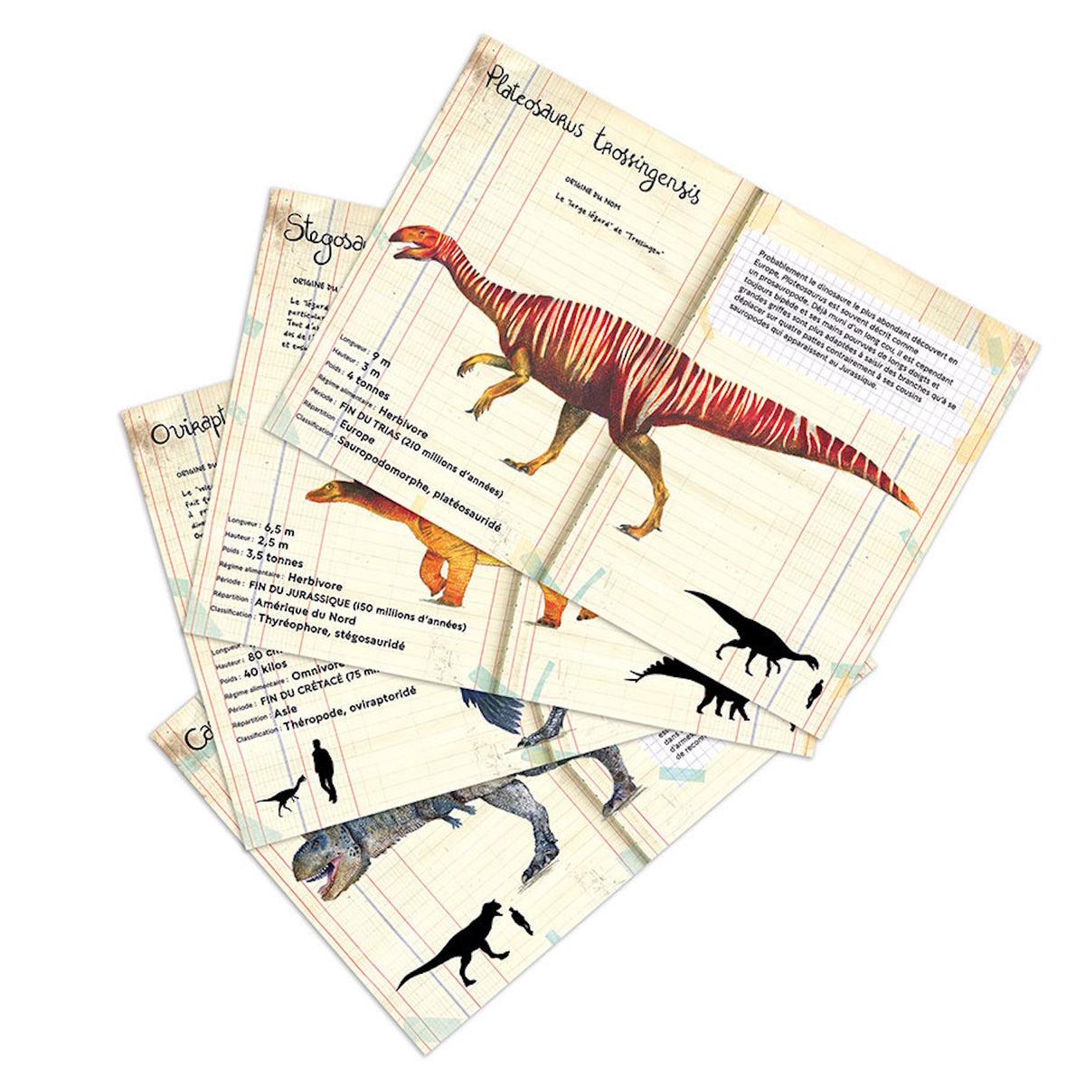 Vilac dinosaur information cards with French text, illustrations, and size comparison charts.