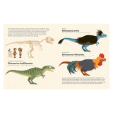 Childrens book page showing dinosaur interpretations from a fossil skeleton to feathered and rooster shapes.