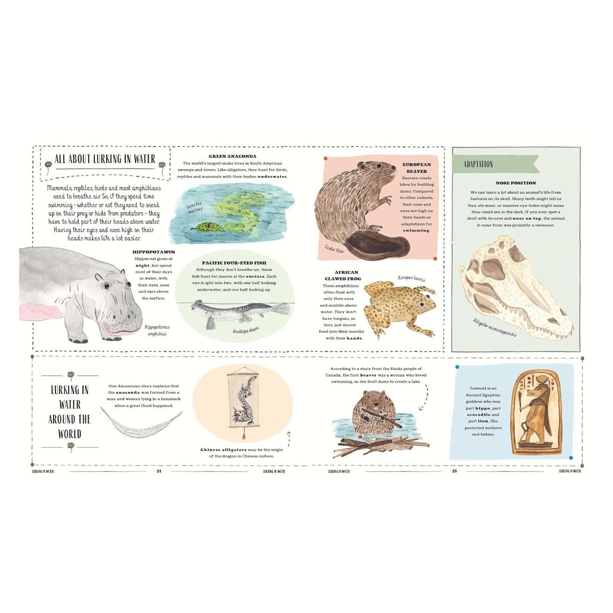 Animal encyclopedia page titled Lurking in Water featuring illustrations of a hippo, anaconda, beaver, and frog.