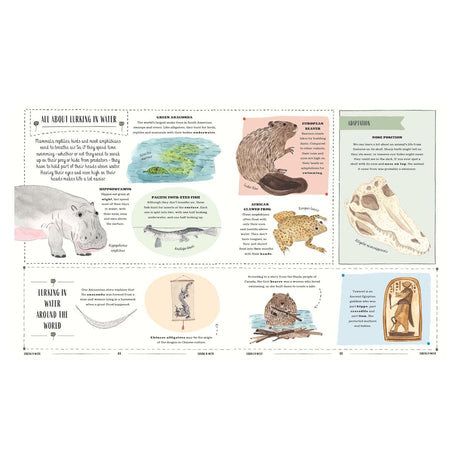 Animal encyclopedia page titled Lurking in Water featuring illustrations of a hippo, anaconda, beaver, and frog.