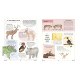 Illustrated book pages titled "All About Horns & Antlers" featuring a rhino, triceratops, kudu, pronghorn, and moose.