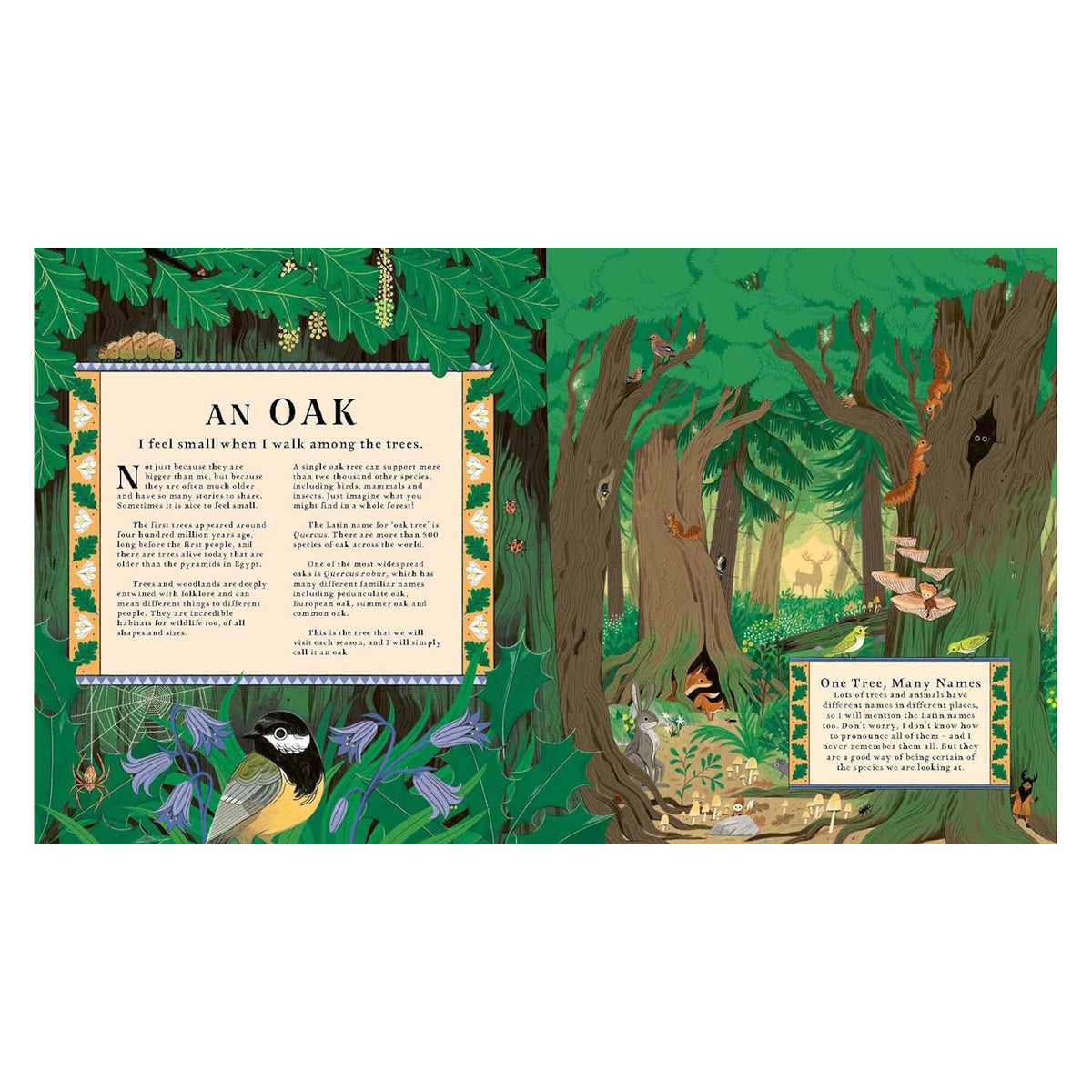 An illustrated book spread titled "AN OAK" with text columns alongside a lush forest full of woodland wildlife.