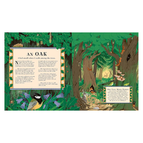 An illustrated book spread titled "AN OAK" with text columns alongside a lush forest full of woodland wildlife.