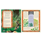 Illustrated book spread about the forest understorey in spring, featuring woodland creatures and plant lore.