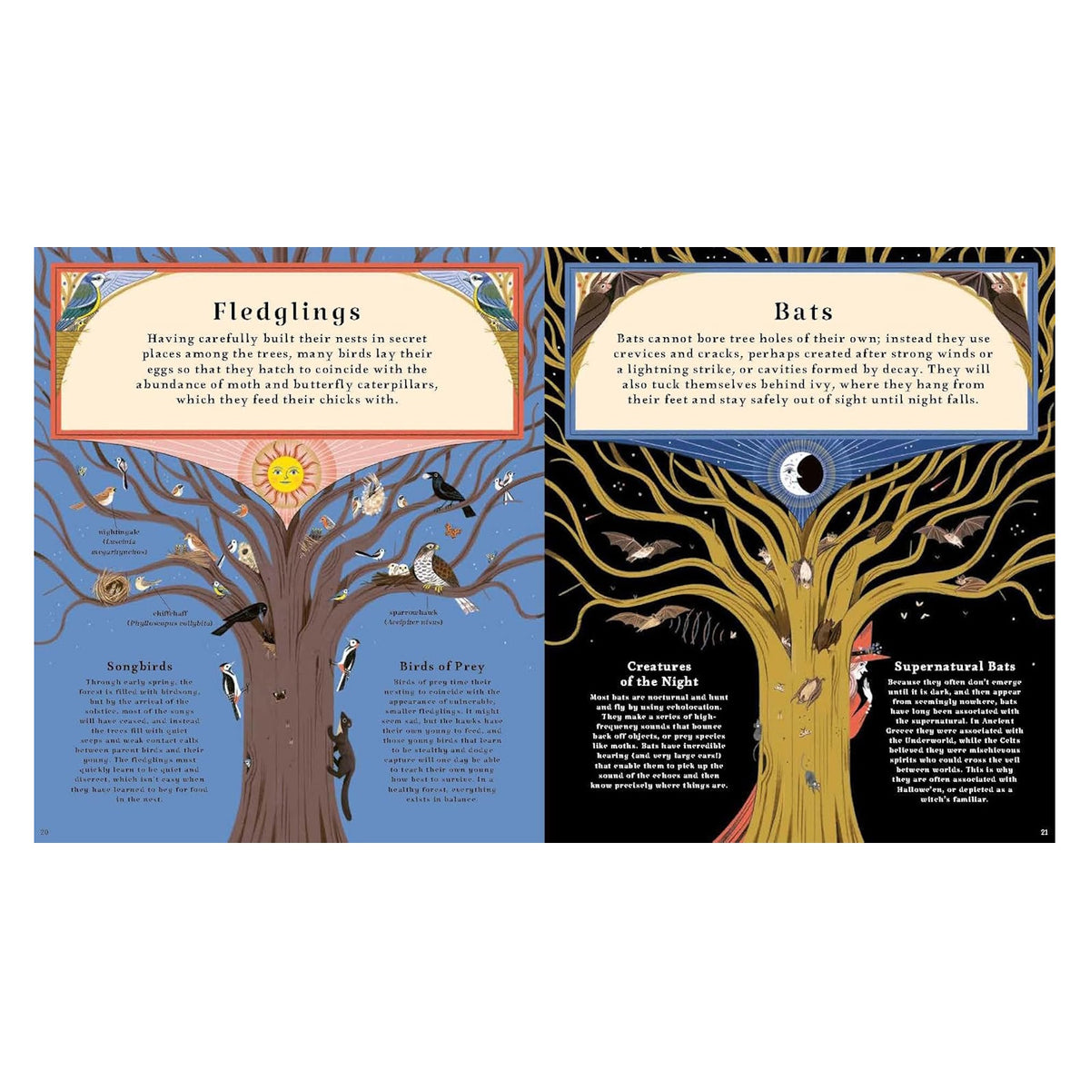 Illustrated open book spread contrasting daytime birds on the left tree with nighttime bats on the right tree.