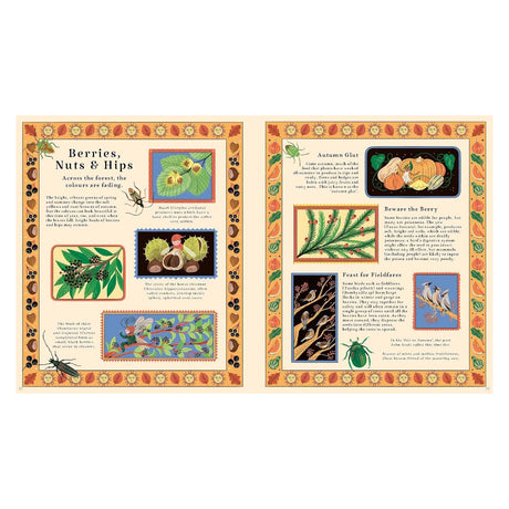 Illustrated book spread featuring sections on "Berries, Nuts & Hips" and autumn foraging with nature art.
